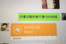 湖州专业要账公司